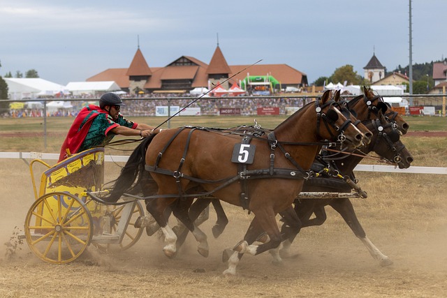 数据的分析 数据的分析